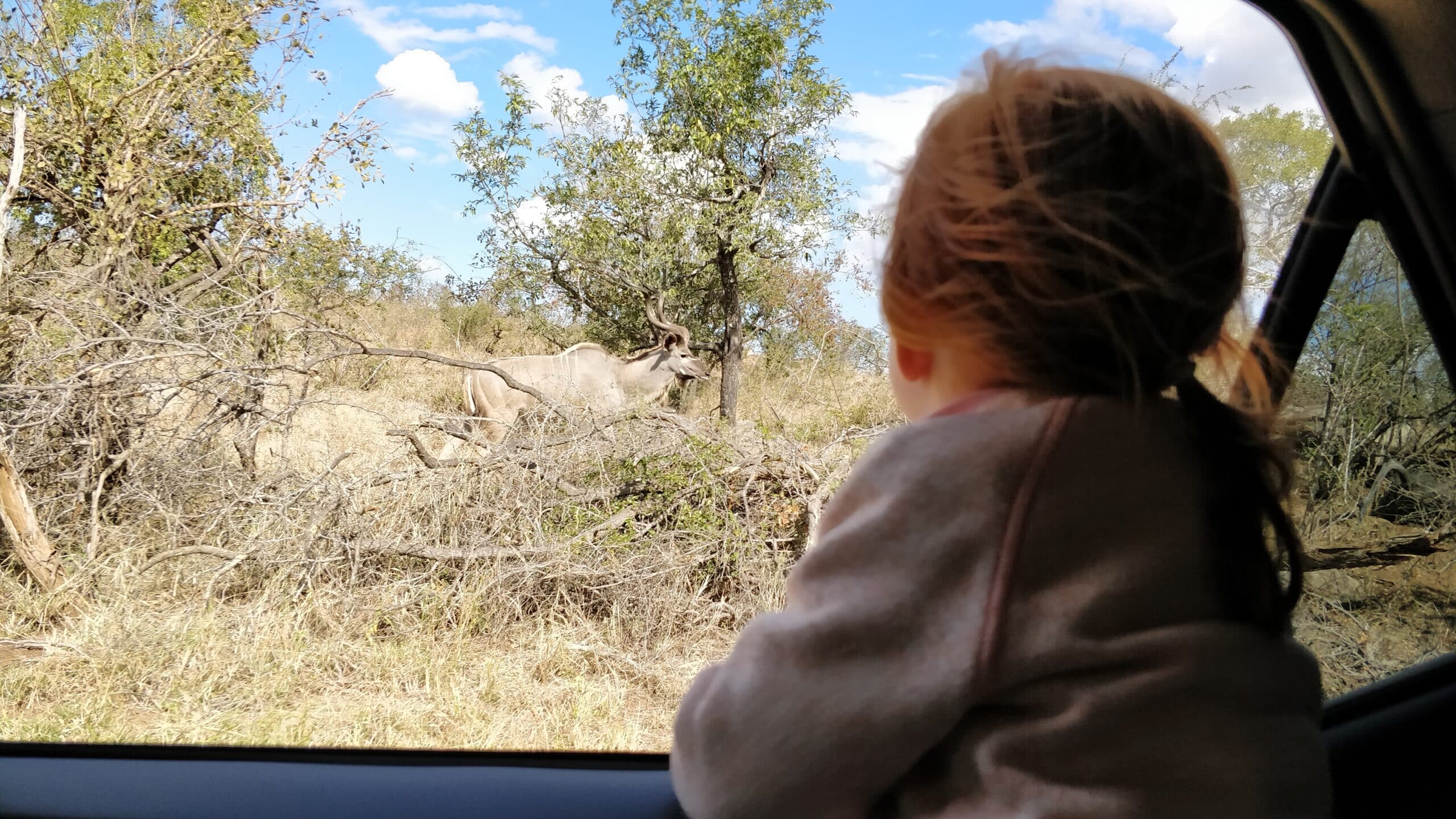 Voyager avec des petits enfants, conseils pour l&rsquo;hiver!
